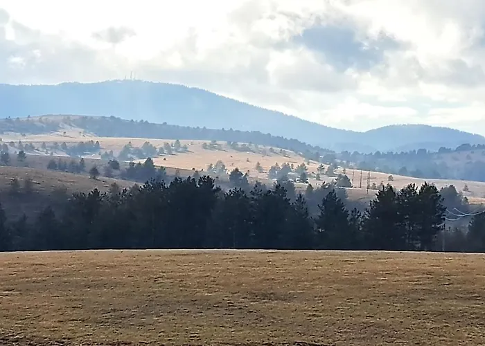 Tijana Apartment Zlatibor