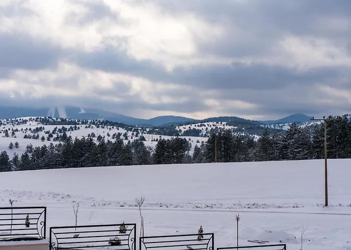 Apartment Tijana Zlatibor